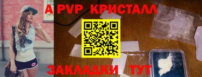 шишки Абакан