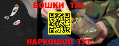 шишки Абакан