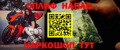 шишки Абакан