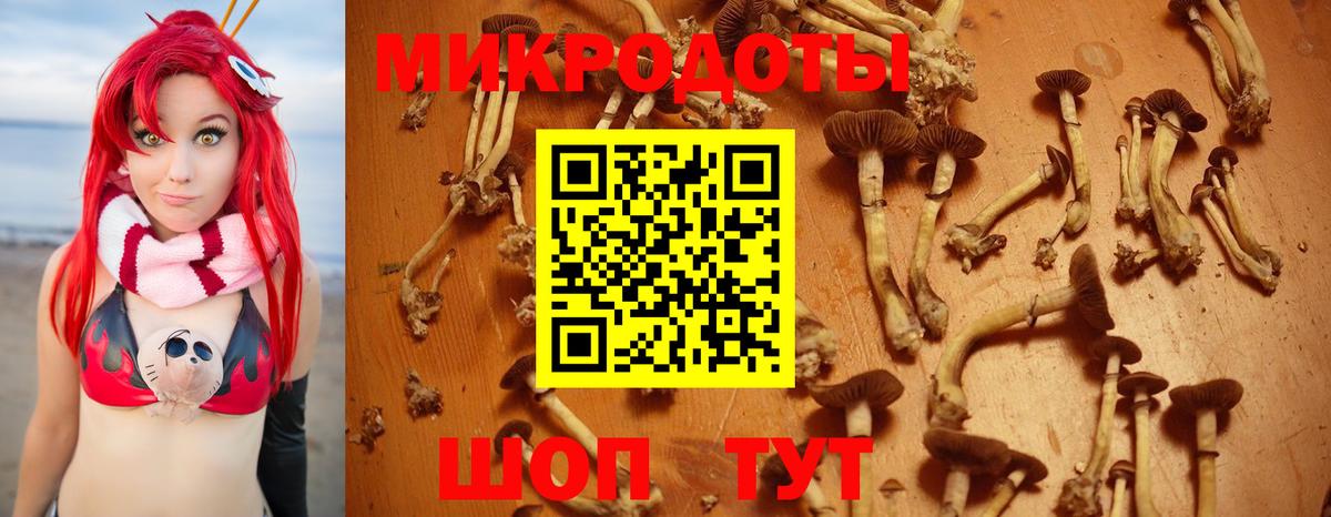 Галлюциногенные грибы Cubensis Алейск