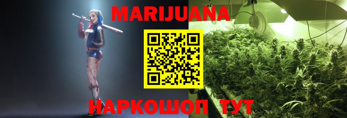 Конопля конопля Алейск